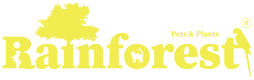 Rainforest Pets & Plants